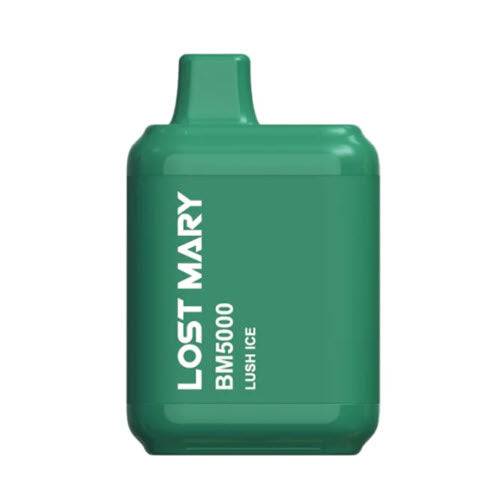 Lost Mary BM5000 Disposable Vape Device
