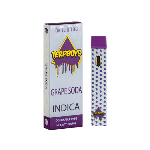 Terpboys Indica Delta 8 THC Disposable Vape Device - 1PC Terpboys Indica Delta 8 THC Disposable Vape Device - 1PC
