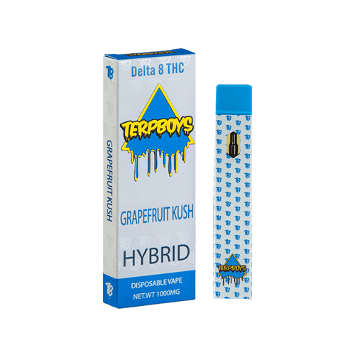 Terpboys Hybrid Delta 8 THC Disposable Vape Device - 1PC Terpboys Hybrid Delta 8 THC Disposable Vape Device - 1PC