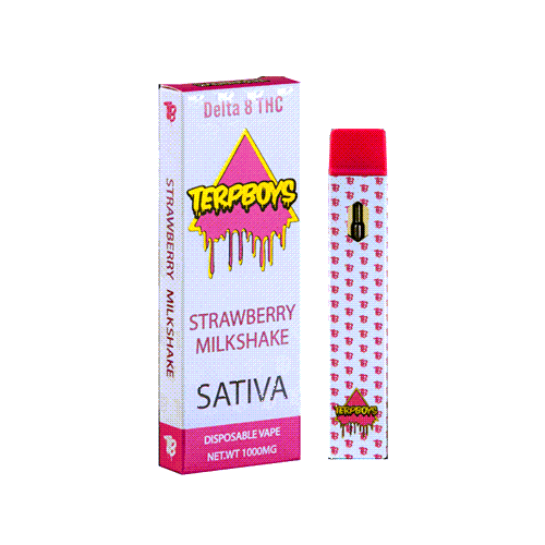 Terpboys Sativa Delta 8 THC Disposable Vape Device - 1PC Terpboys Sativa Delta 8 THC Disposable Vape Device - 1PC