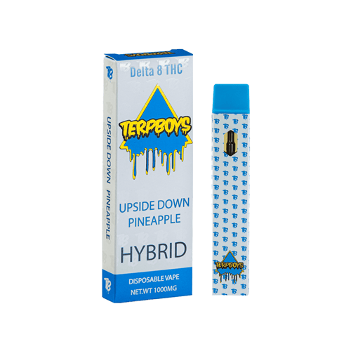 Terpboys Hybrid Delta 8 THC Disposable Vape Device - 1PC Terpboys Hybrid Delta 8 THC Disposable Vape Device - 1PC